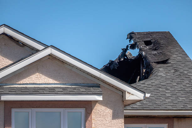 Top rated local Board Up Services specialists in Center City, MN